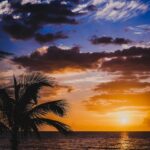 Stepping Into Alignment